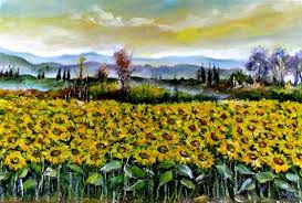 girasoli